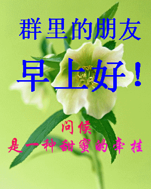 好嗨哦原版:你怎么理解“好嗨哟，感觉人生已经达到了巅峰”？