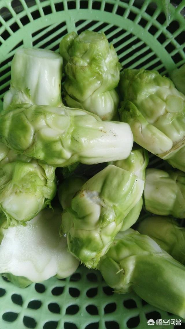 头条问答 - 多心菜怎样烧才好吃?(18个回答)