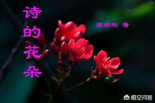 谁能给介绍好点的都市小说？不要种马、不要无敌、不要言情？