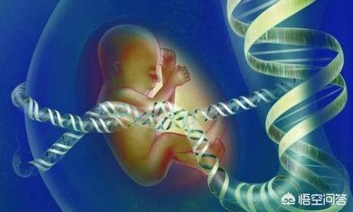 女性胰腺炎的症状是什么:胰腺炎都会疼痛吗？胰腺炎有哪些症状？