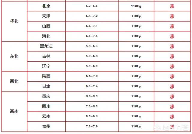 济南东大宠物兔养殖场:广西3172头规模猪场又发疫情，猪瘟为何屡破大猪场防线？