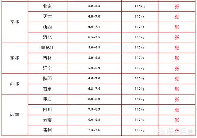 济南东大宠物兔养殖场:广西3172头规模猪场又发疫情，猪瘟为何屡破大猪场防线？