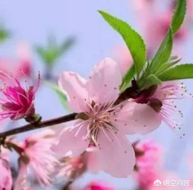父爱如山,累而不言。母爱如河,温柔潺潺。现在的你,活的累吗？