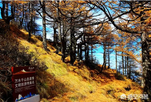 太白山攻略(太白山旅游攻略一日游)