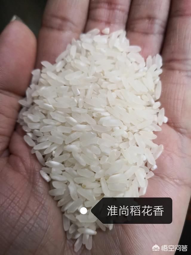 信阳种植的大米为什么没有远销海外？