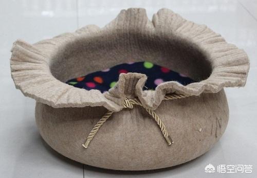 缅因猫如何喂养:缅因猫有感冒了一直流鼻涕怎么办？