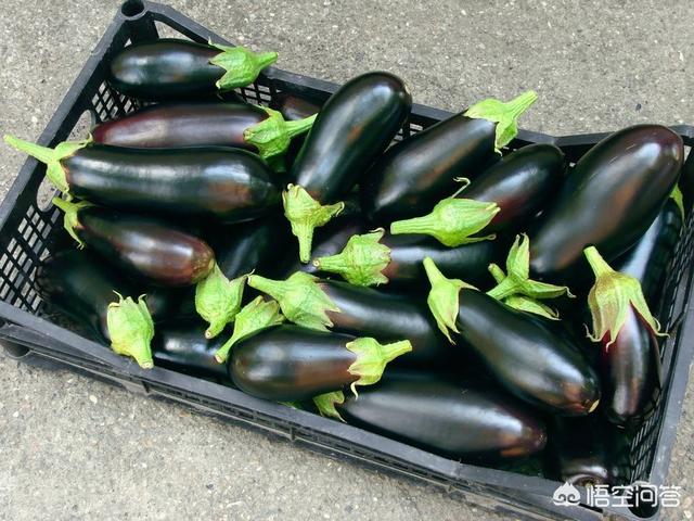 茄子怎么种植才能高产 头条问答