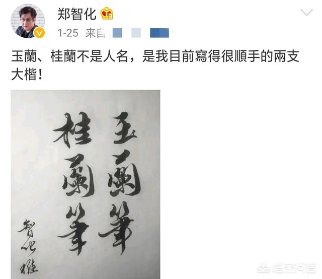 郑智化为什么坐牢:当年唱红《水手》的郑智化近况如何？