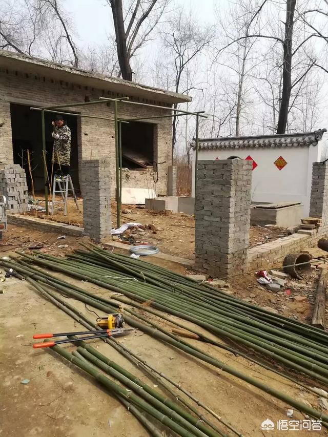 怎么做院子围墙又便宜又好看？插图107