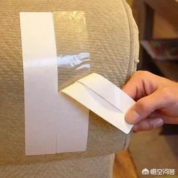 键盘猫:有的猫咪为什么喜欢趴键盘？