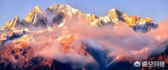 高山金翅雀图片:鸟最高能飞多少米？哪种鸟类飞的最高？