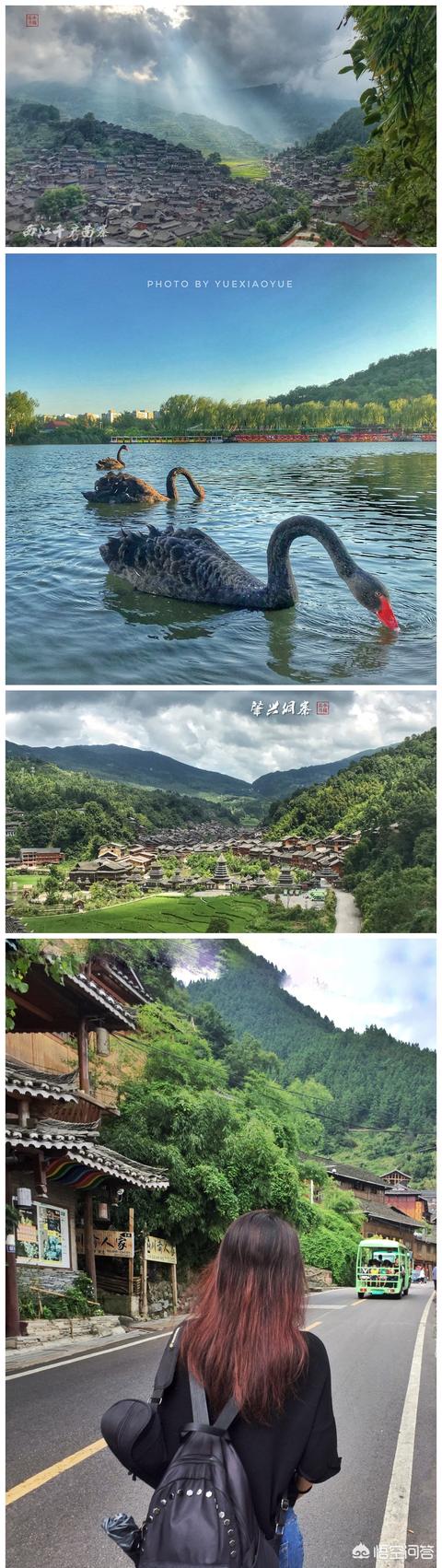 爱拍宠物摄影:爱好摄影的你，感觉自己是什么水平？晒出三张照片来分享一下吧？