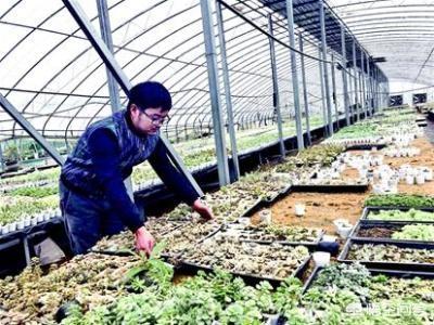 家庭工厂项目有哪些？农村有闲置的房子,还靠着一个刚起步未成型的工业园？