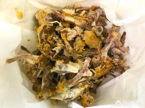 澳洲2n脱毛露:养狗的过程中，那些做法等于在害狗？