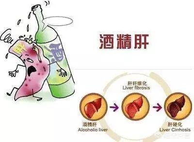 喝酒呕吐后吃什么对肝脏好:喝酒之前吃什么保护肝脏 长期喝酒导致肝脏不舒服，喝蒲公英茶可以起到护肝的作用吗？