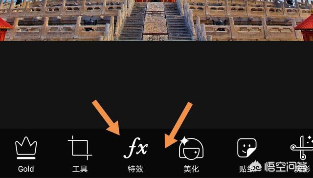 大象鸟树:为什么大象是森林建造者？