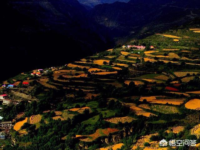 藏獒情缘雨婷洛桑格桑:假如可以放假一个月，那么你最想去旅游的地方是哪里？