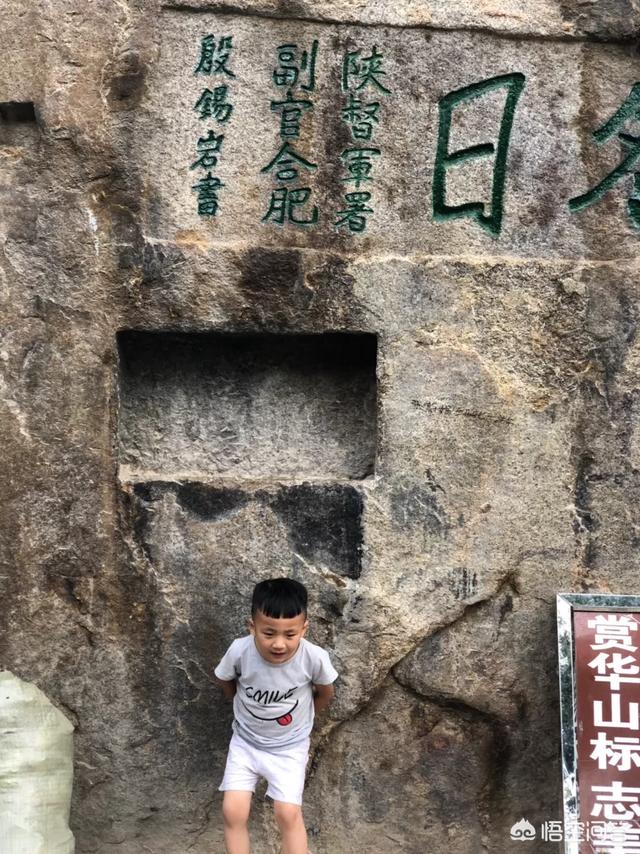 蓝燕鸟吃什么水果:玉鸟爱吃什么蔬菜或水果哪？