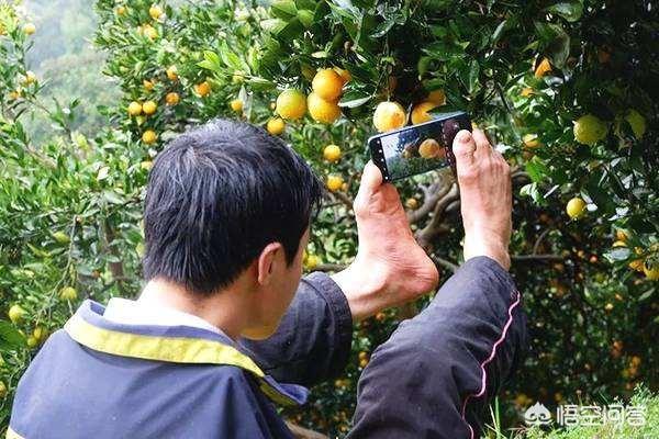 残疾人创业项目，有哪些项目适合农村下肢重度残疾人居家赚钱的