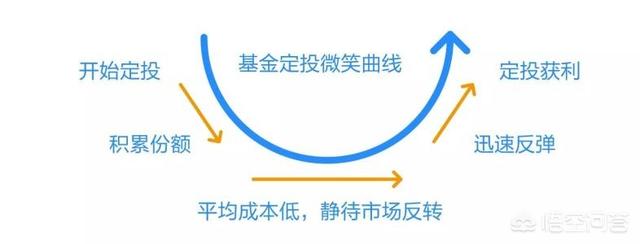 希腊毒蜥市场价:基金定投不用关注买入点，是这样的吗？