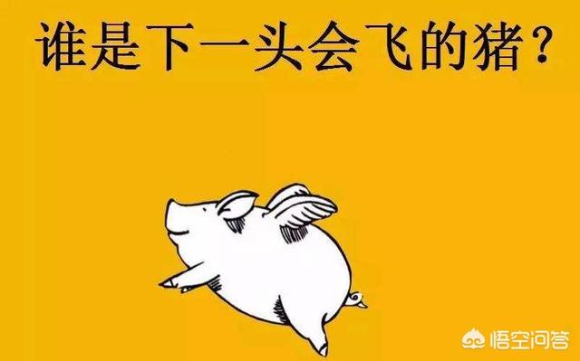 神烦狗doge抱枕3d图片下载:有什么小本生意可以一个月收入一万左右？