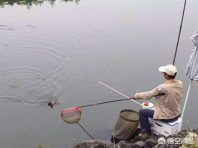 头条问答 春季野钓 3米6和6米3的鱼竿 哪种鱼获大 31个回答