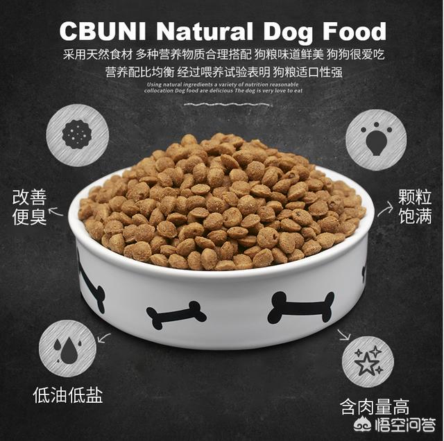 法国斗牛犬性格亲人:狗狗能看出主人性格？哪些狗狗看出主人哪些性格？