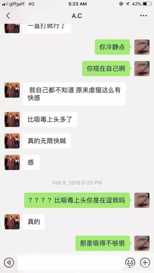 何兴丽摔狗案件:中国留学生虐猫被控告，你怎么看？