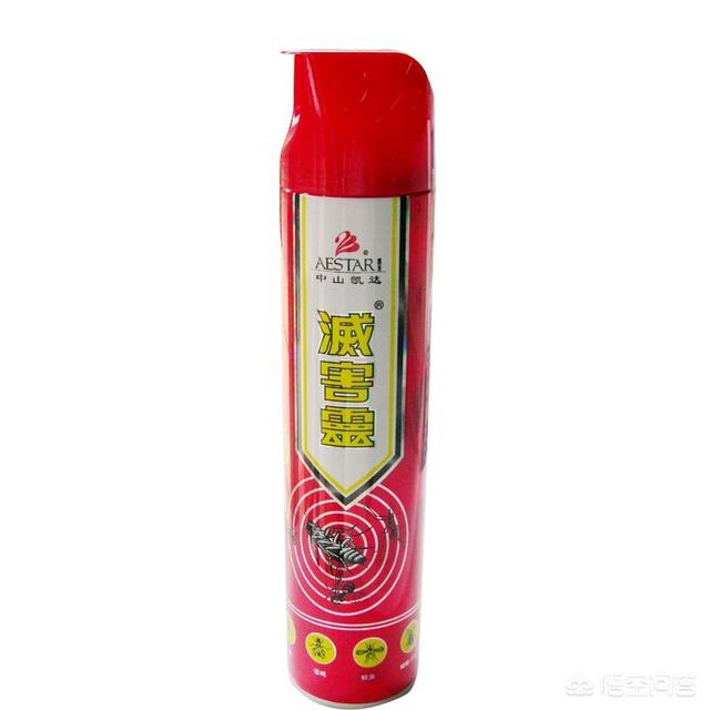 蜱虫病治疗:蜱虫病治疗的费用是多少钱 猪身上有蜱虫用什么药治？