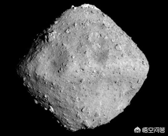 鸟图片:拍摄飞行中的鸟，快门速度大概是多少？ 鸟图片简笔画彩色