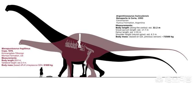 比蓝鲸大的动物有哪些，什么恐龙比鲸还大最大的恐龙是什么