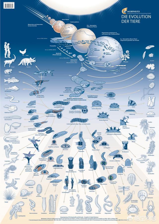 听说过物种灭绝,可是很少听说过新物种诞生,地球上的物种究竟从何而来