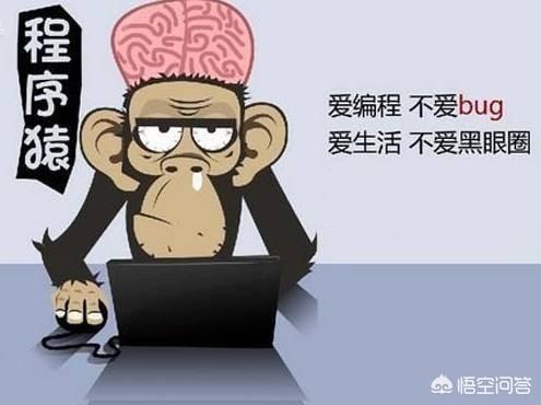 一直面对电脑工作的职业都有哪些？