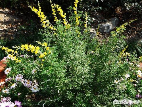 酵素菌:土壤变硬、甚至结块怎么办？