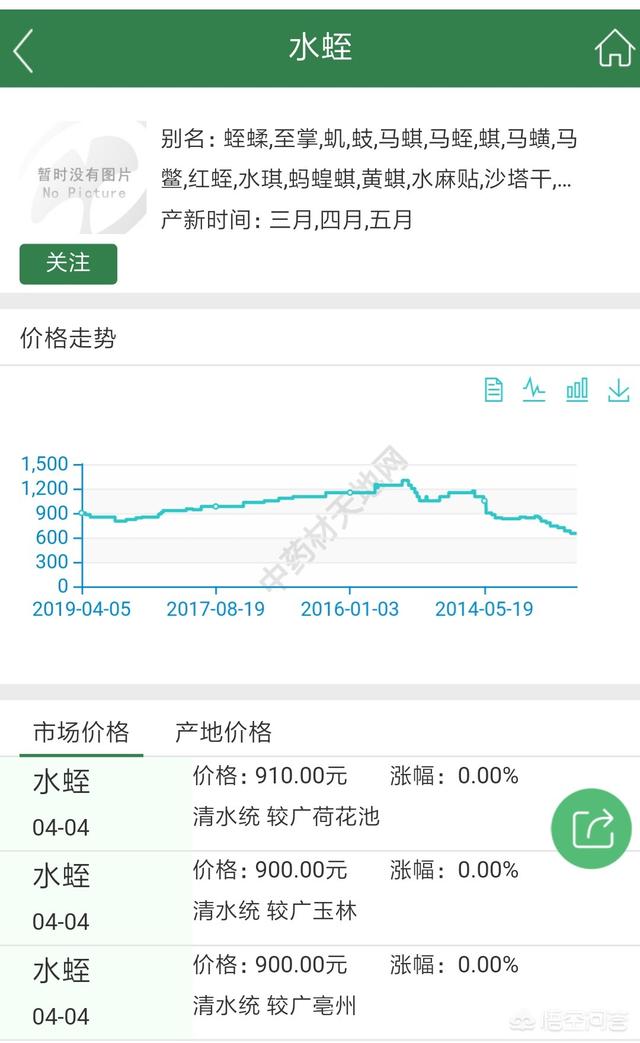 蜥蜴养殖前景怎么样:如果回农村养殖蚂蟥会有前景吗？