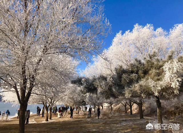 特殊时期中国富人都去哪玩，节前大家都去哪儿旅游了，整体体验如何