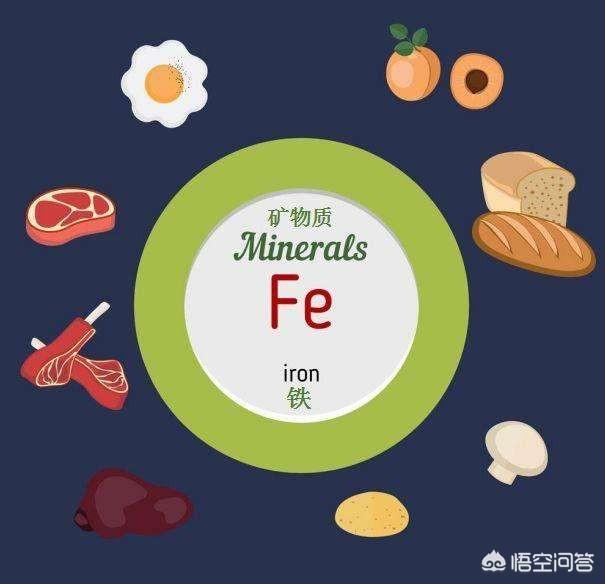 婴儿能吃动物肝脏吗:多大宝宝可以吃动物肝脏 想用猪肝给宝宝做辅食，应该怎么处理猪肝？
