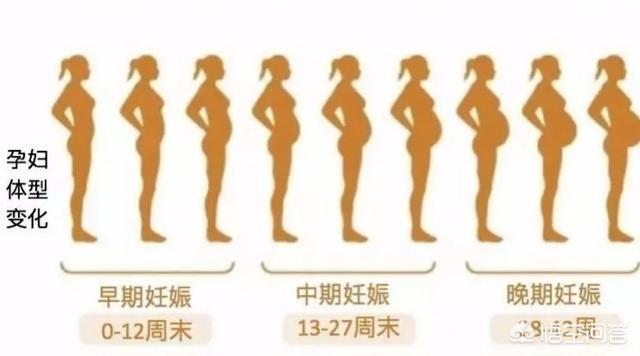 需要换穿孕妇裤了;女性自从怀孕以后,身体就开始悄悄发生了变化,其中