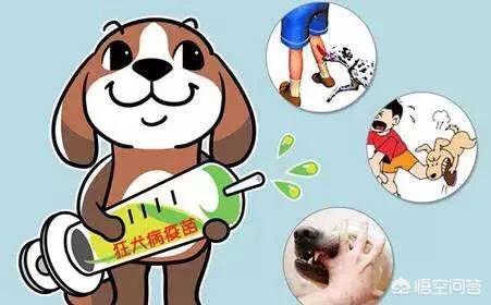 日本狂犬病发病率:狂犬病十日观察法靠谱吗？