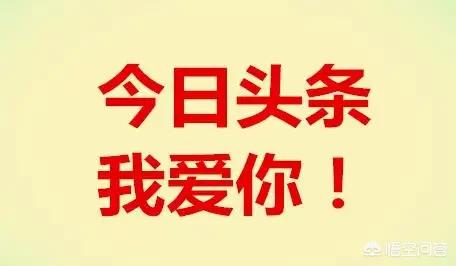 飞机上的粪便排到哪里了是如何被清理的(飞机上厕所粪便排哪了)