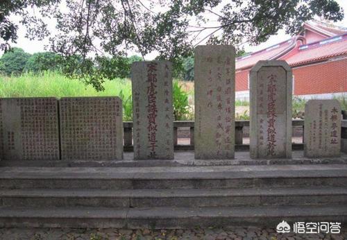 中国斗蟋蟀:捉蟋蟀能致富但是收蟋蟀的人用蟋蟀能干什么?有什么作用？