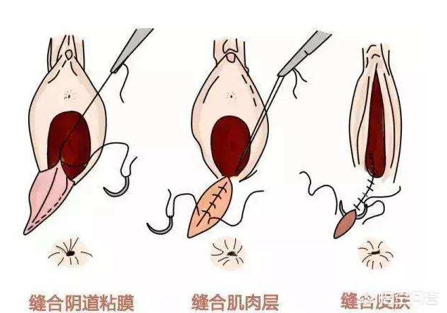 百科网