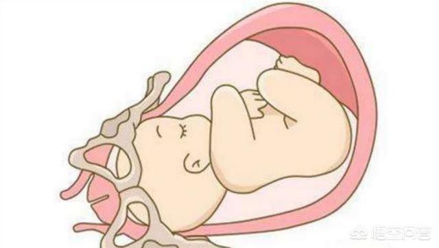 头条问答 - 有没有什么办法促进胎宝宝入盆?(8个回答)