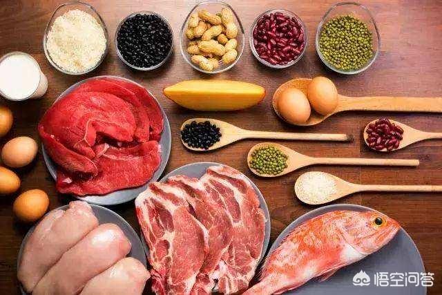 地衣蛋白质含量有多高，地皮菜是什么菜它有什么营养