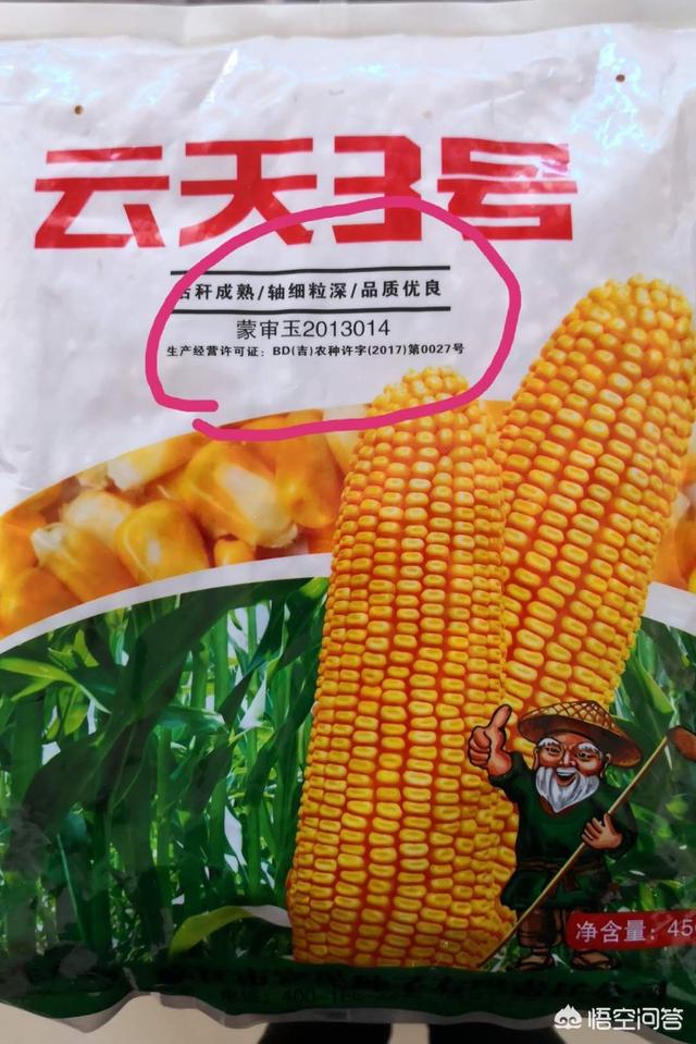 640_959竖版 竖屏