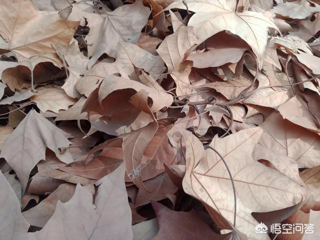 有什么方法能够对自己的记忆删除？