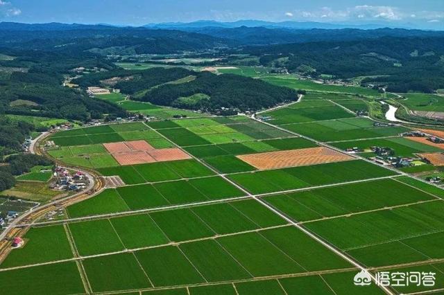 造成问题原因主要有哪些方面，导致土地资源减少的原因有哪些