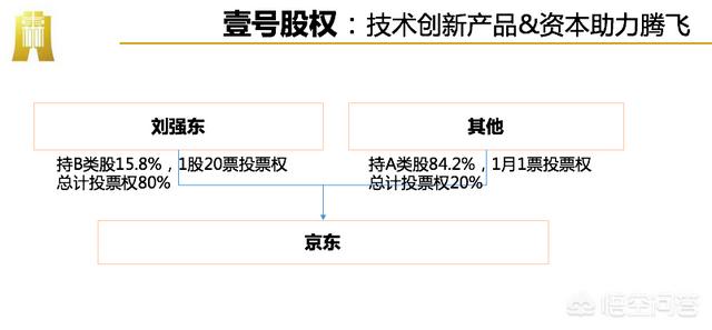 什么是双层股权结构？
