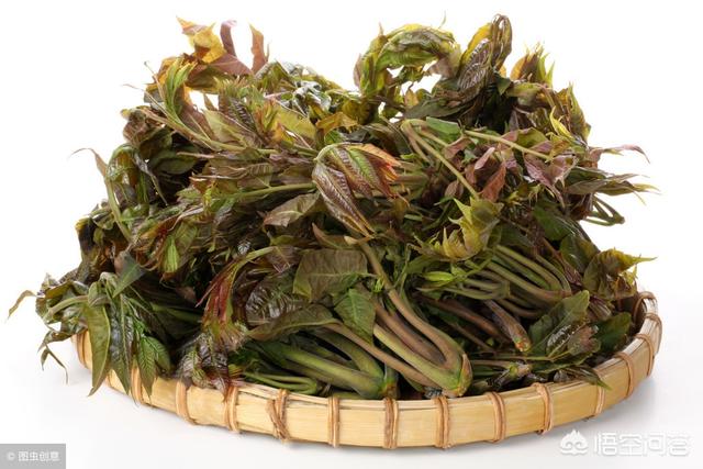 白苜蓿草图片:请问紫花苜蓿苗后用什么除草剂？