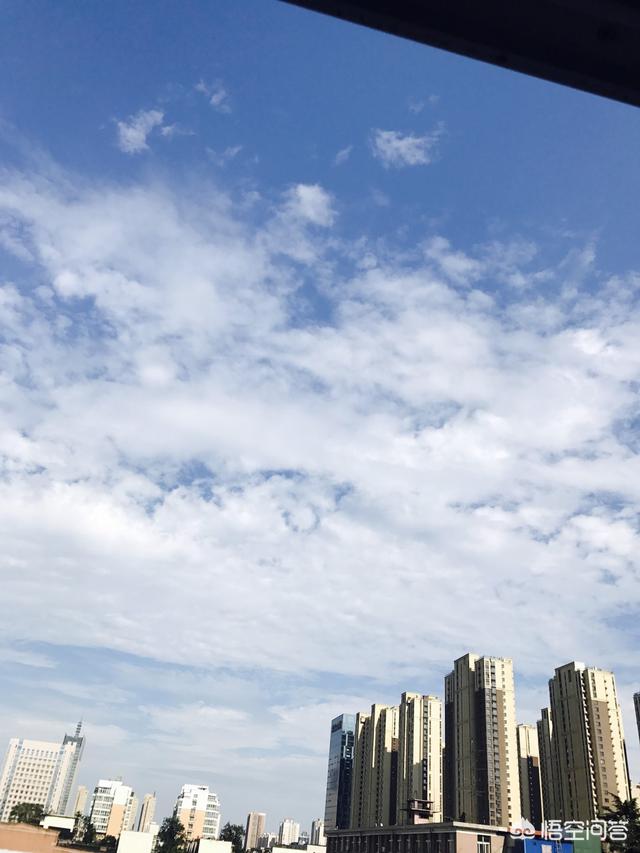 爱博欣红乳葡萄:目前在江西种植什么葡萄品种比较好？